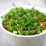 Blandet salat med rødkål, tomat, majs, karse, ærteskud og garniture.